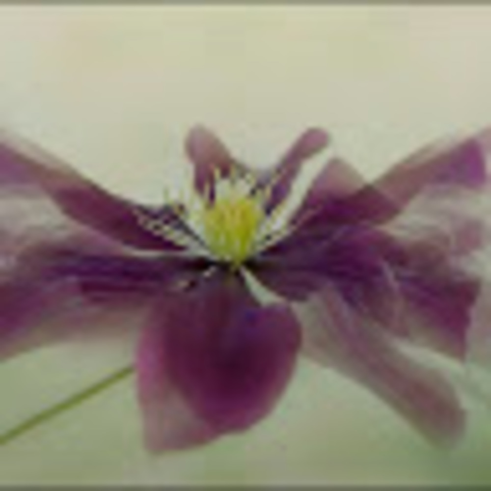 Meet your Posher, Jami